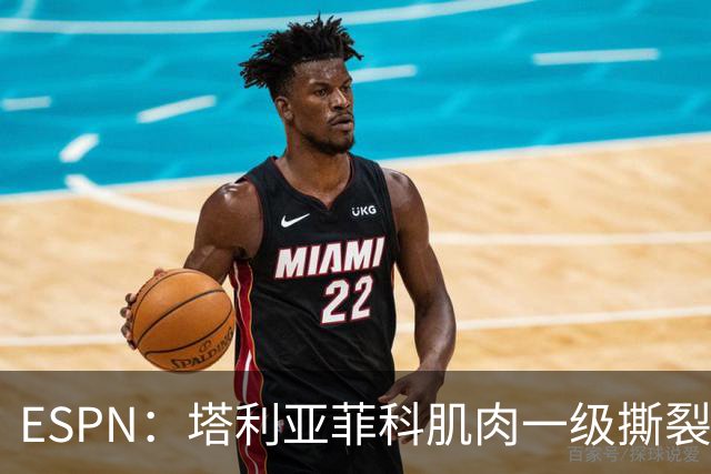 ESPN：塔利亚菲科肌肉一级撕裂，至少缺席世界杯前两场小组赛